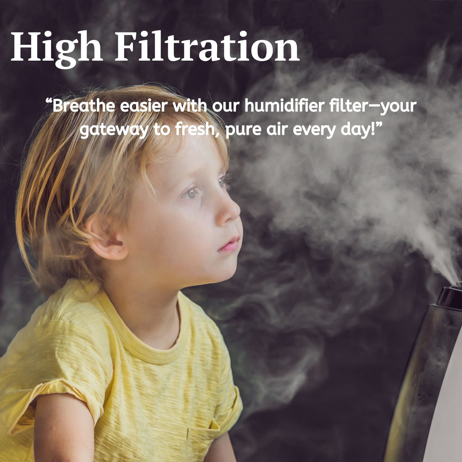 Nispira HWF23 Super Wick Humidifier Filter F Replacement for Holmes M1200 HM1250 HM1206 HM1200TPK and Bionaire BCM1250 Humidifiers, 4 Packs