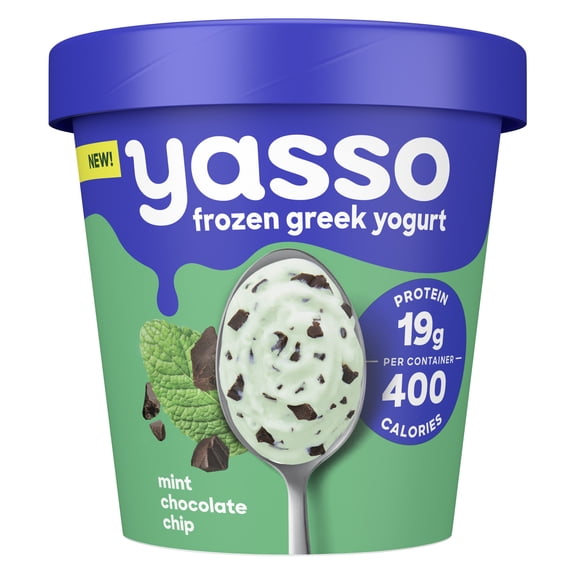 Yasso Mint Chocolate Chip Frozen Greek Yogurt, 14 fl oz