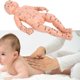 thumbnail image 1 of Modelo De Masaje Para Niños, Enseñanza Duradera De Los Meridianos Del Cuerpo De Los Niños, Para La Enseñanza De Operaciones De Precisión, Puntos De Acupuntura, Escuela De YLSHRF Infant Body Meridians Teaching, 1 of 8