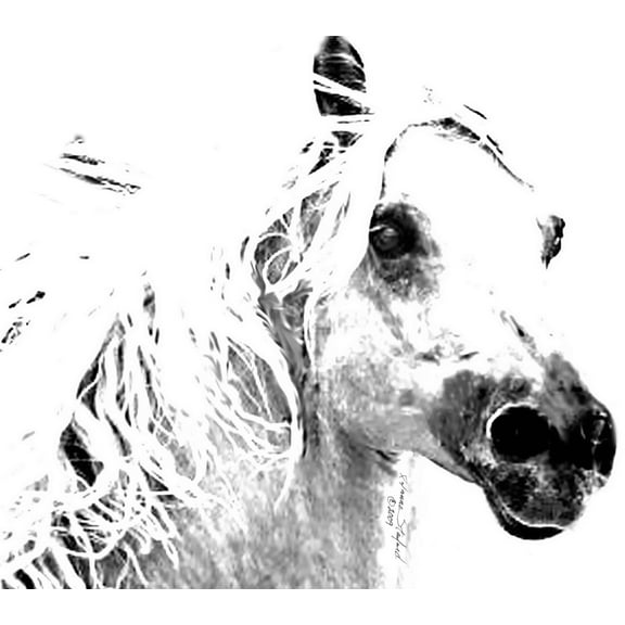 Tymeless Wonders Horse I Wall Decal