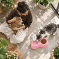 thumbnail image 4 of Kitten Starter Kit - 16 Cat Set Includes Litter Box, 4 of 7