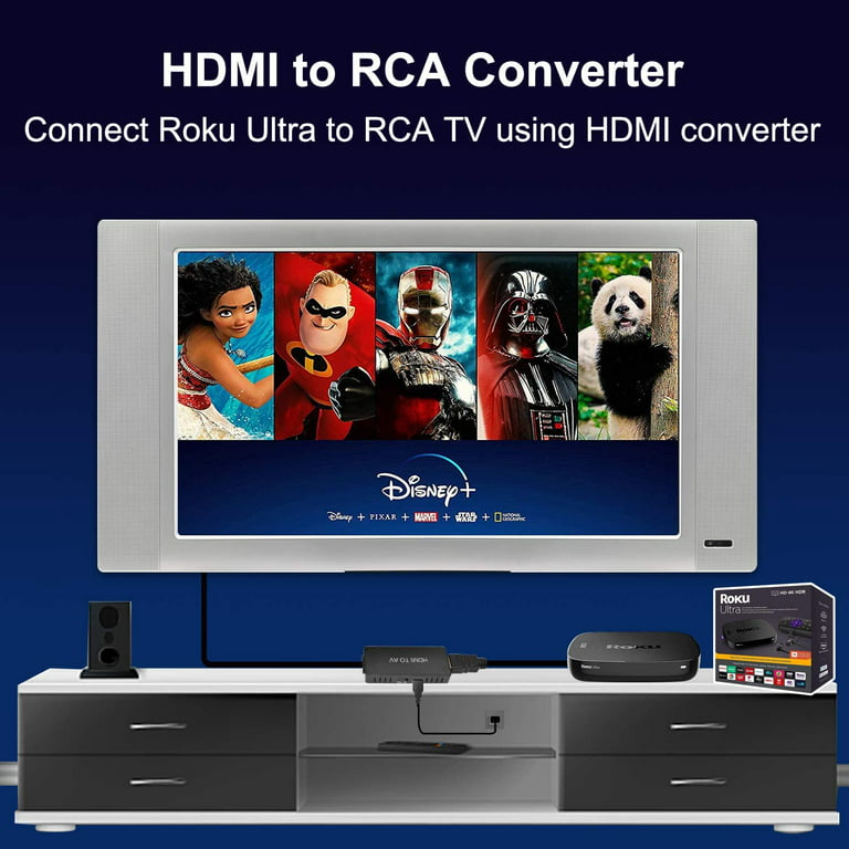 Lokmita, Adapter - HDMI to RCA converter
