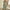 Green, variant on Joau Jumpsuits for Women Summer Dressy Casual Solid Color Sleeveless Spaghetti Strap Romper Loose Short Baggy Overalls Wide Leg Jumpsuit with Pockets