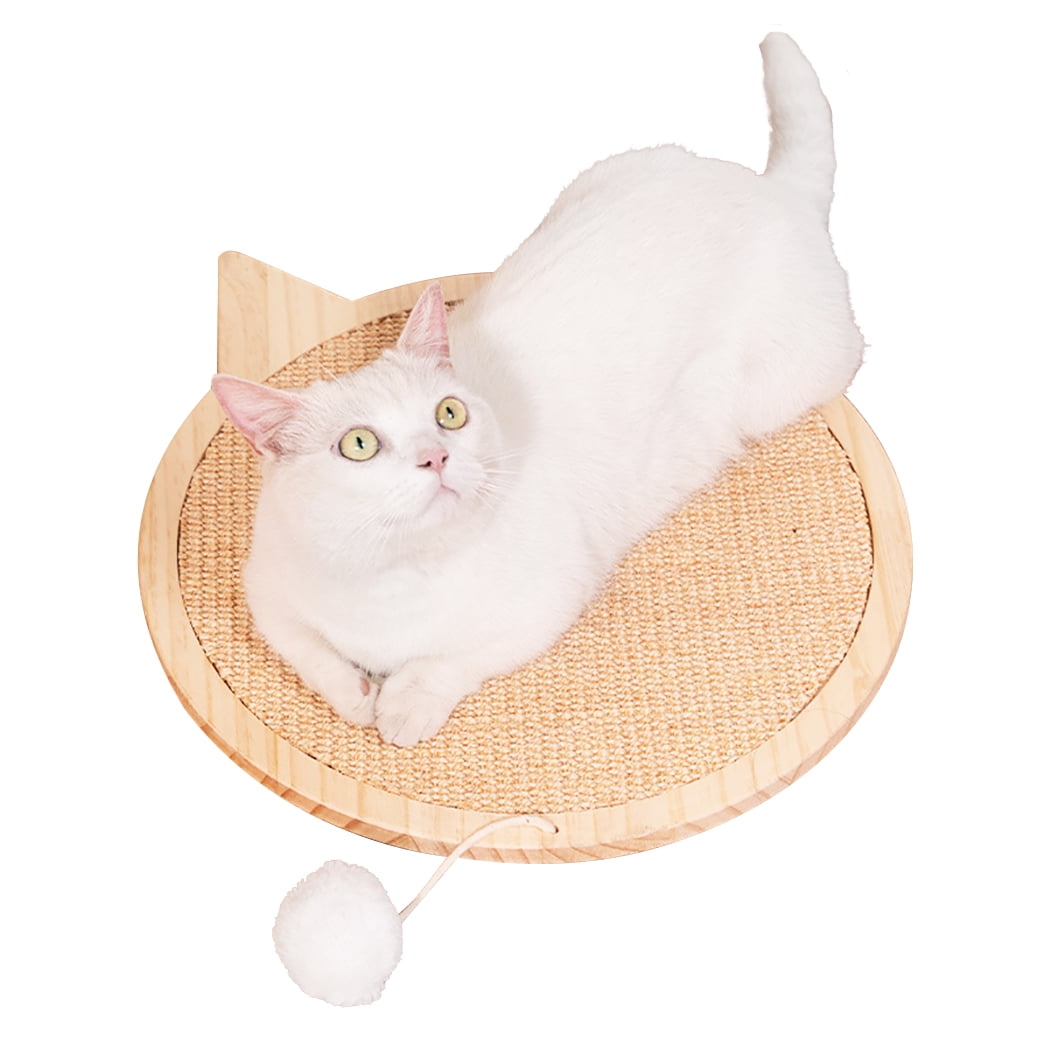 cat scratch toy with ball