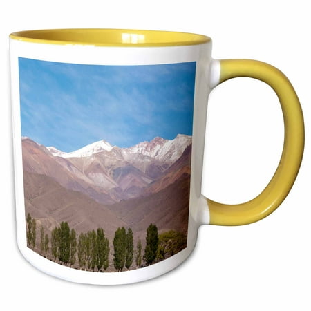 3dRose Argentina, Mendoza, Mountain landscape - SA01 JRI0125 - Jutta Riegel - Two Tone Yellow Mug,