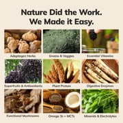 KaChava Coconut Acai Meal Replacement Powder - 15 Servings