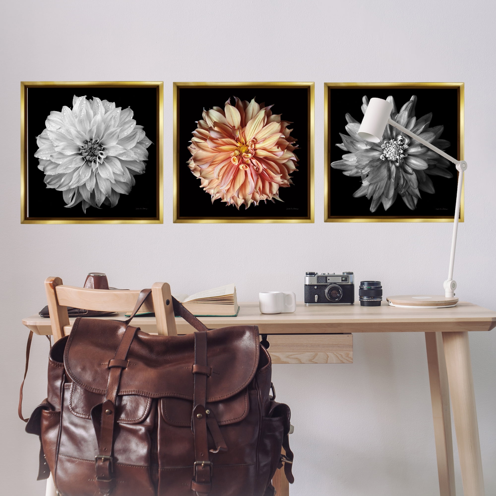 Stupell Industries Detailed Dahlia Photography Plants & Flowers Photography Gold Floater Framed Canvas Art Print Wall Art, 25 x 25, Set of 3