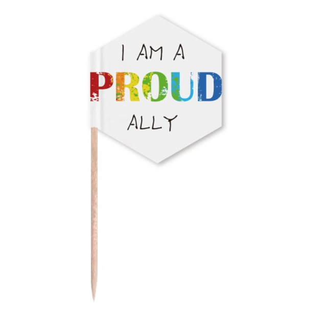LGBT Rainbow Flag Proud Ally Toothpick Flags Cupcake Picks Party Celebration