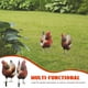 thumbnail image 2 of 2 estacas decorativas acrílicas para gallinas de jardín, césped o suelo., 2 of 8