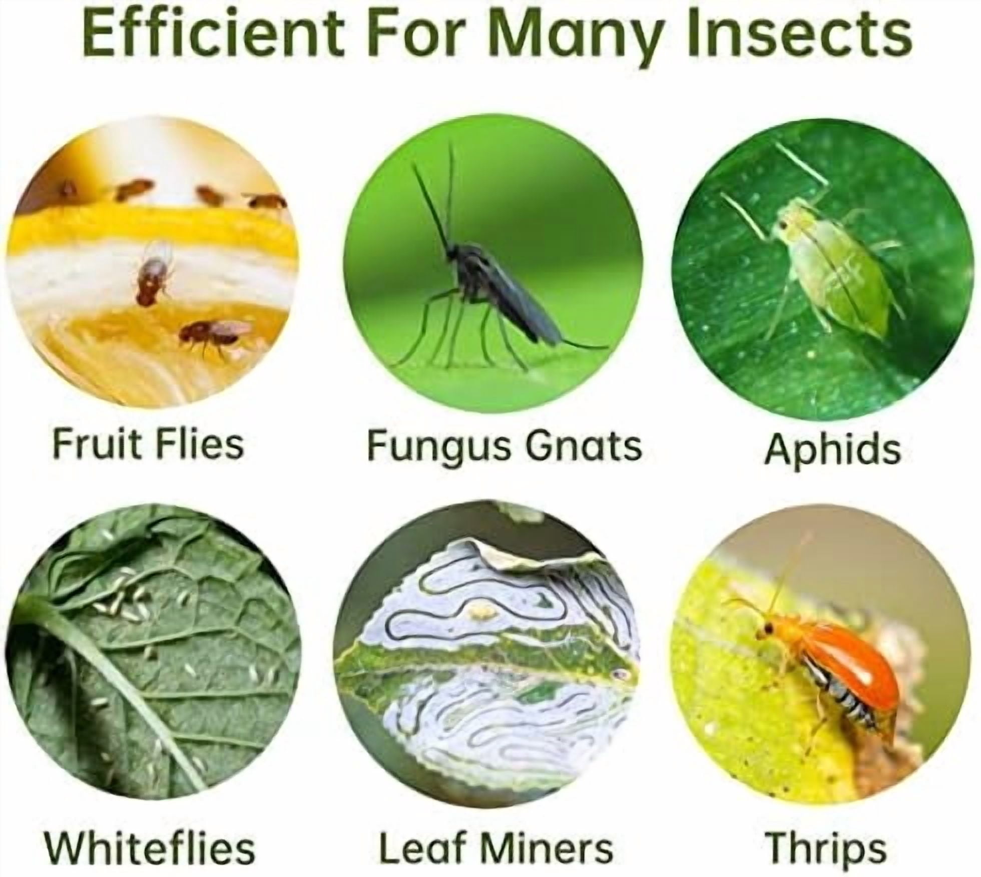 120 Pack Fruit Fly Trap for Indoors, Fungus Gnat Killer Indoor Sticky Traps for Mosquito and Flying Insects, Bug Pest Insect Catcher Killer for Houseplant