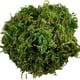 thumbnail image 2 of Musgo artificial verde para macetas, mezcla para macetas de orquídeas, poste de turba para manualidades, 2 of 4