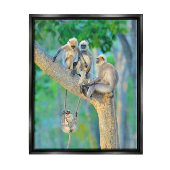 Stupell Industries Fun Playing Monkeys Animals & Insects Photography Black Floater Framed Canvas Art Print Wall Art, 17 x 21