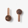 thumbnail image 2 of Yuarrent Cuchara de grano de café de nuez negra redonda portátil Cuchara medidora práctica Accesorio de cocina duradero con mango de para café Juegos de servir café y té No.01 Yuarrent HA025245-01, 2 of 5