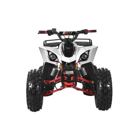 TrailMaster F125  ATV, 8" wheel, 125cc 4-stroke, air-cooled, Automatic with Reverse. electric start, Throttle Limiter,