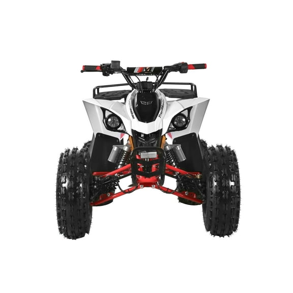 TrailMaster F125 ATV, 8" wheel, 125cc 4-stroke, air-cooled, Automatic with Reverse. electric start, Throttle Limiter,