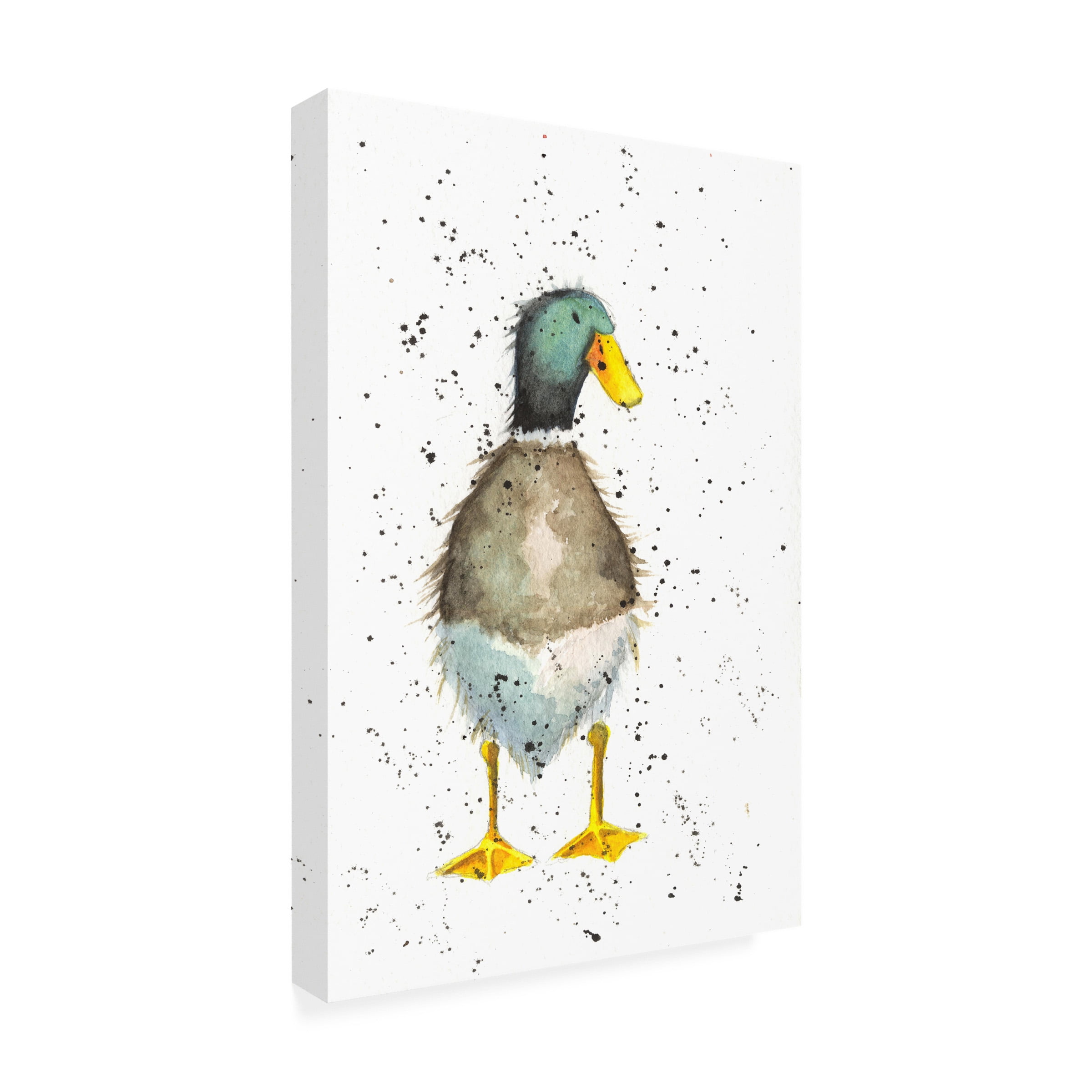 Michelle Campbell 'Duck 2' Canvas Art
