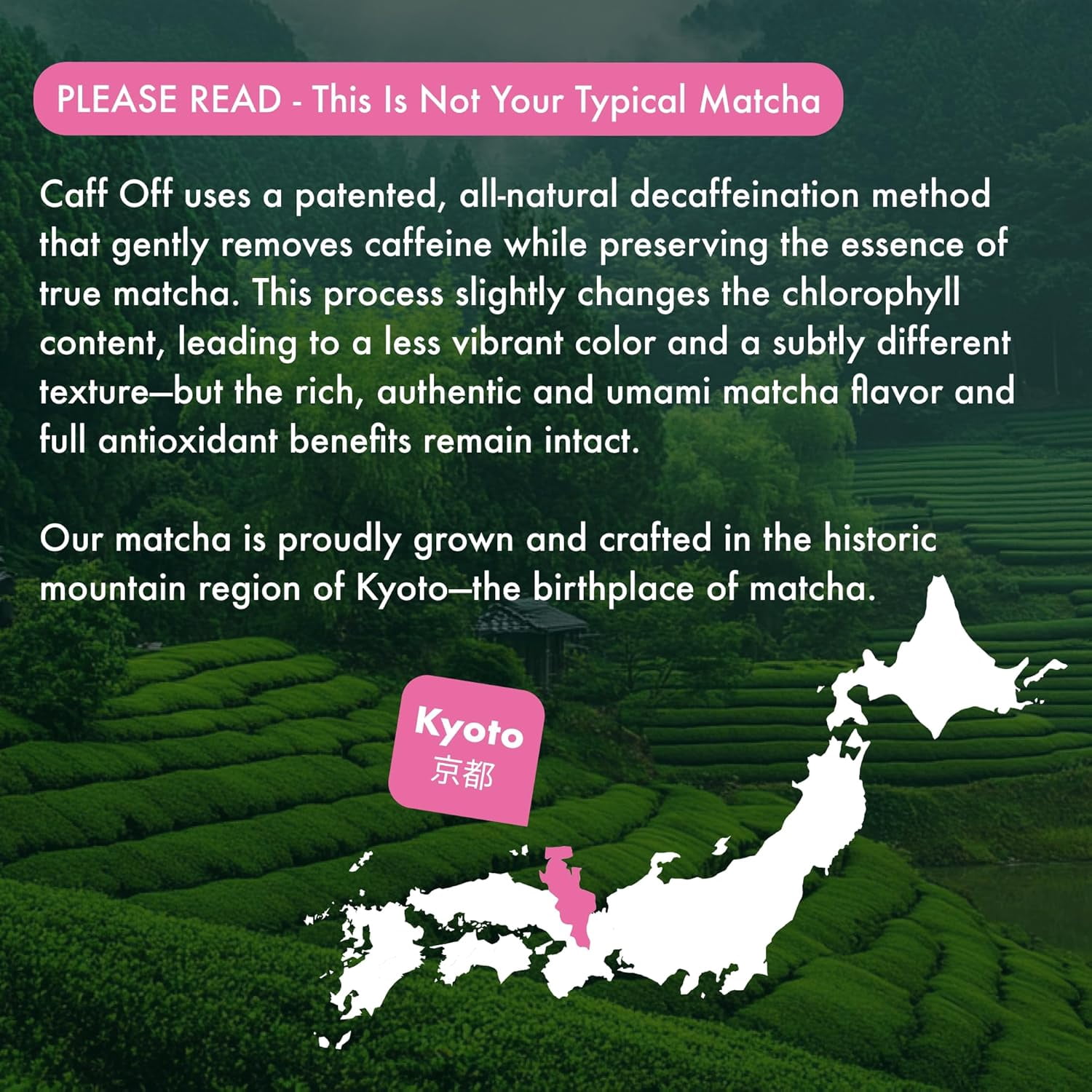 Caff Off Decaf Strawberry Matcha Green Tea Powder From Japan – 1.06 oz / 30 g – Ceremonial Grade & Sugar-Free – No Fillers or Milk Powders – Naturally Decaffeinated Without Chemicals