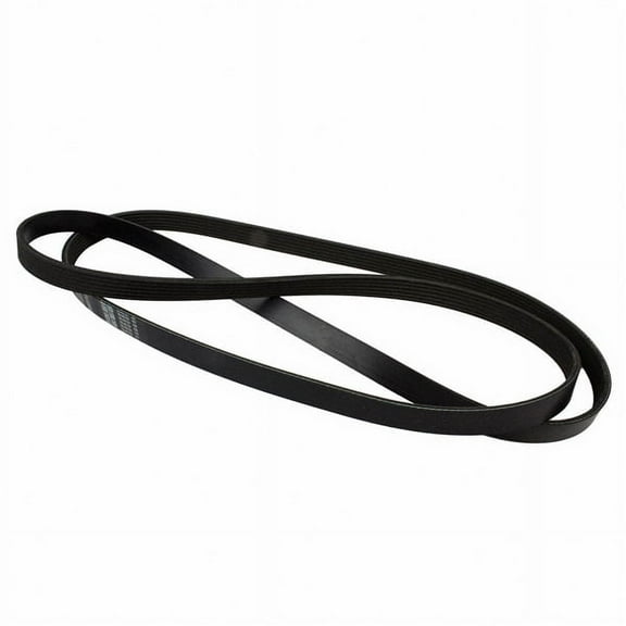 Motorcraft V-BELT (P)
