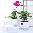 thumbnail image 3 of Visland Pot de Plante Auto-Arrosant avec Trous de Drainage Haute Résistance Réutilisable Entretien Facile Réservoir Visible Pot de Plante Intérieur Extérieur Vase à Fleurs, 3 of 8