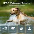 Gallery Detail: Bufferzone Wireless Dog Fence Training Collar Waterproof 33