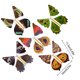 thumbnail image 4 of Juguete Bewildely Banda de goma Estampado floral para El desarrollo, 4 of 6