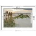 thumbnail image 3 of Art.com Sea Oats on Gulf of Mexico at South Padre Island, Texas, USA Photographic Print by Larry Ditto, White Frame Wall Art, 23" x 17", 3 of 4