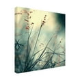 thumbnail image 4 of Trademark Fine Art "About Hope" Canvas Art by Beata Czyzowska Young, 4 of 4