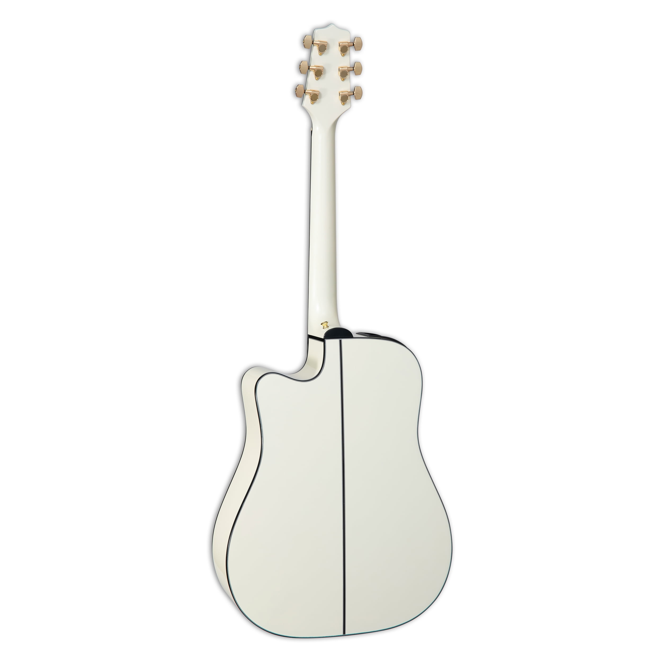 Takamine white 2024