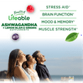 thumbnail image 3 of Lifeable Ashwagandha Gummies with Lemon Balm & Ginseng | Equivalent to 2100mg | Vegan Non GMO Ashwagandha Supplement | For Women and Men | 60 Gummies, 3 of 8