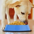 thumbnail image 4 of Weebo Pets Blue No-Tip No-Slip Stainless Steel Bowl (8oz. Terrier), 4 of 7