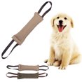 thumbnail image 2 of Dog Bite Toy Interactive Creative Dog Tug Toy Dog Training Toy, 2 of 4