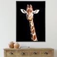 thumbnail image 2 of Designart 'Close Up Portrait Of A Giraffe On Black V' Farmhouse Framed Canvas Wall Art Print, 2 of 5