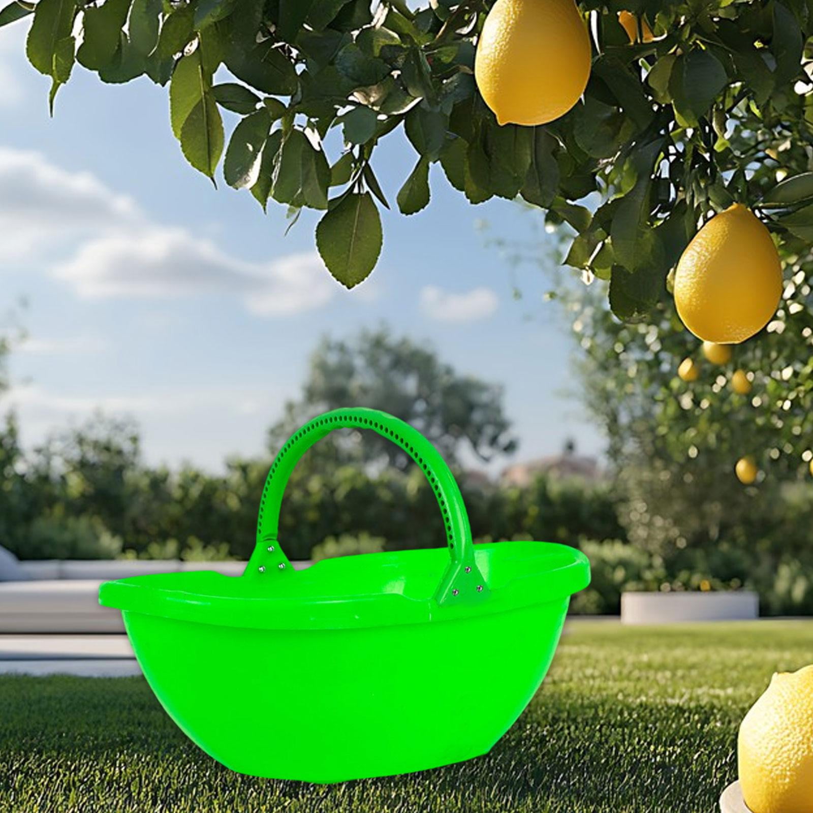Miulika Garden Harvesting Basket, Picking Basket with Handle, Multipurpose Handheld Harvesting Tool for Lawn, Kitchen, Farm, Garden, Yard Green