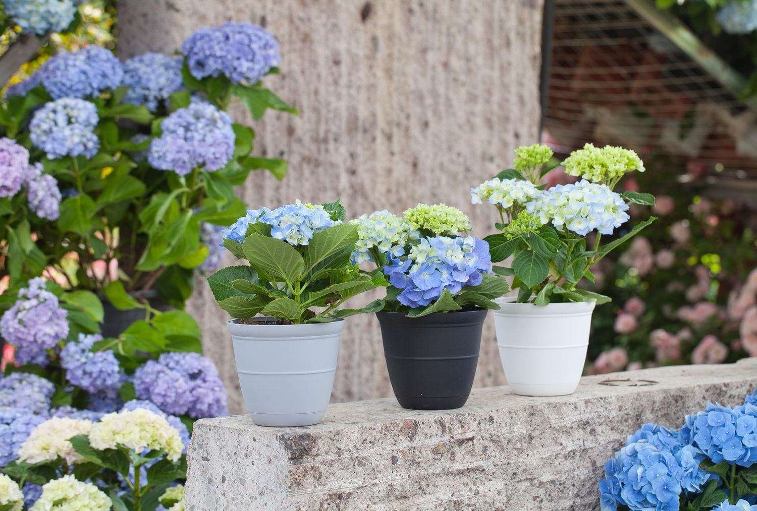Pot de fleurs Mainstays Basic Bell 30 cm, blanc, design classique avec soucoupe intégrée, résistant aux intempéries. cloche blanc 12 po plateau. Durable, léger et