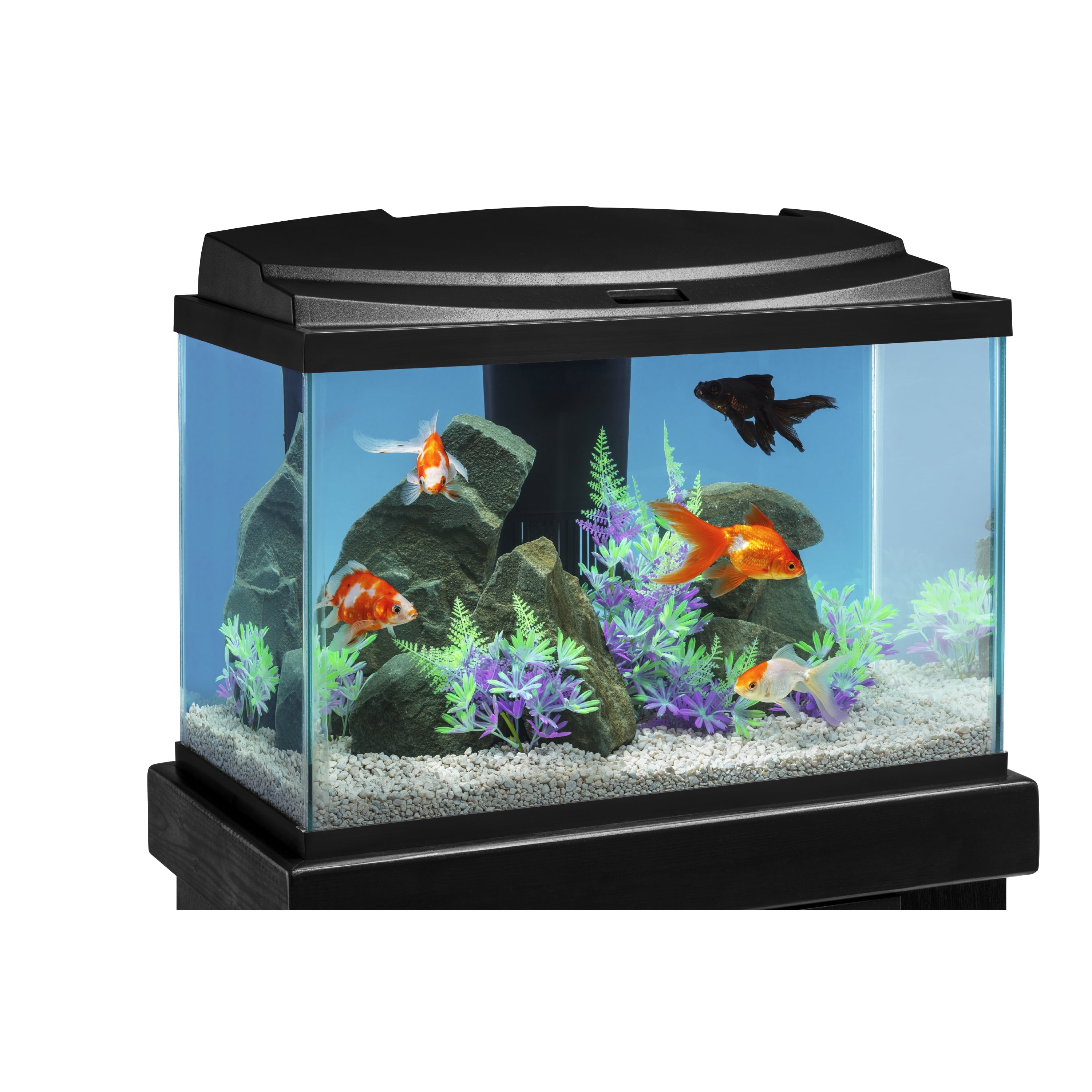 Tetra Goldfish Glass LED Kit 20 Gallon Aquarium Kit with LED Lighting and Filter Walmart