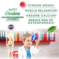 thumbnail image 4 of Lifeable Calcium Magnesium Zinc and Vitamin D Gummies for Kids, 90 Count, 4 of 9