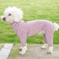 thumbnail image 3 of Ropa para perros con forma de oso de peluche para otoño e invierno, ropa para mascotas de colores sólidos, ropa para perros de cuatro patas, 3 of 6