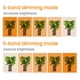 thumbnail image 3 of Yuarrent Invernadero USB LED Timer Grow Light Sótano Cuarto oscuro Interior Planta suculenta Cultivo de plántulas Lámpara IP66 a prueba de Jardín y Patio, 3 of 6