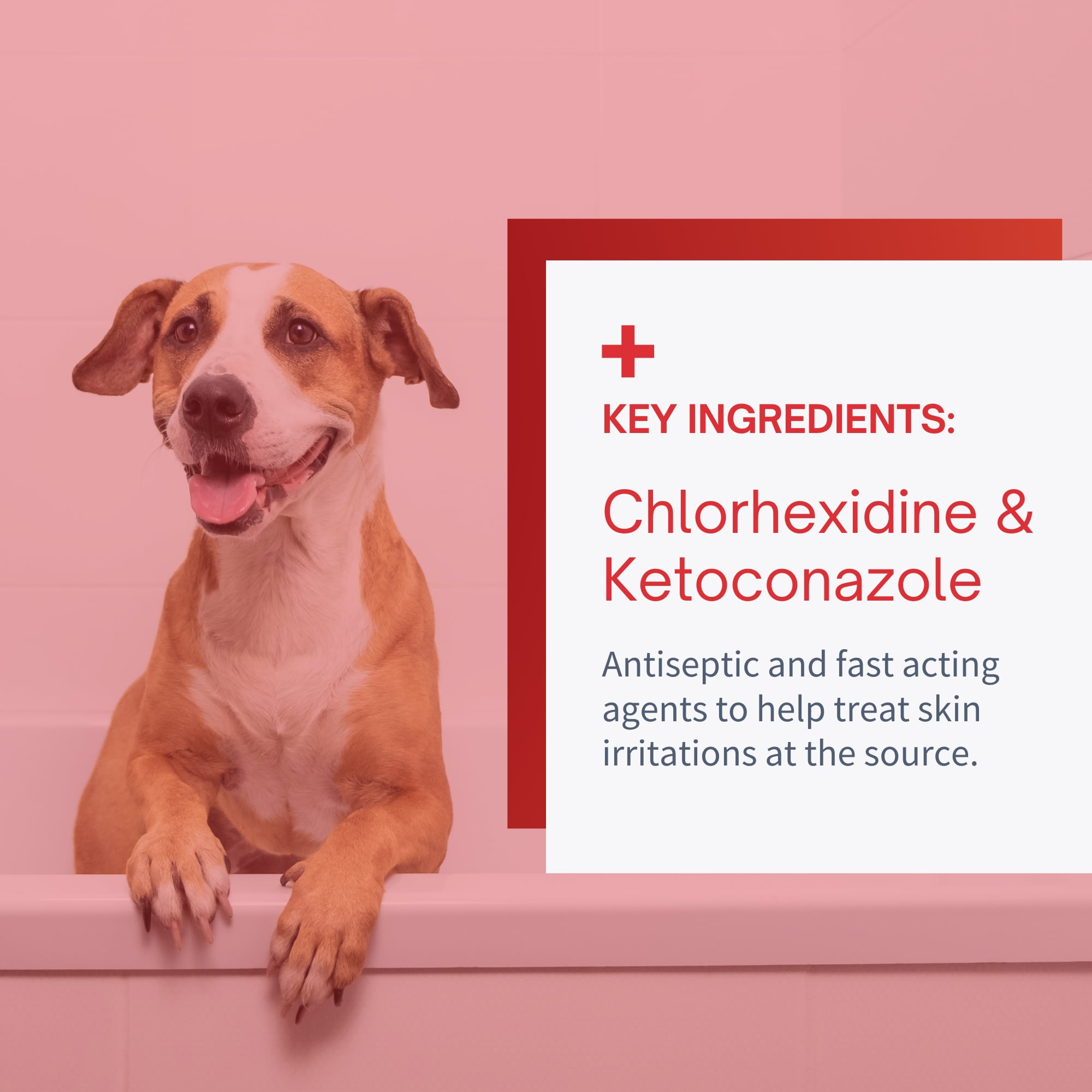 Douxo chlorhexidine pads sales petsmart