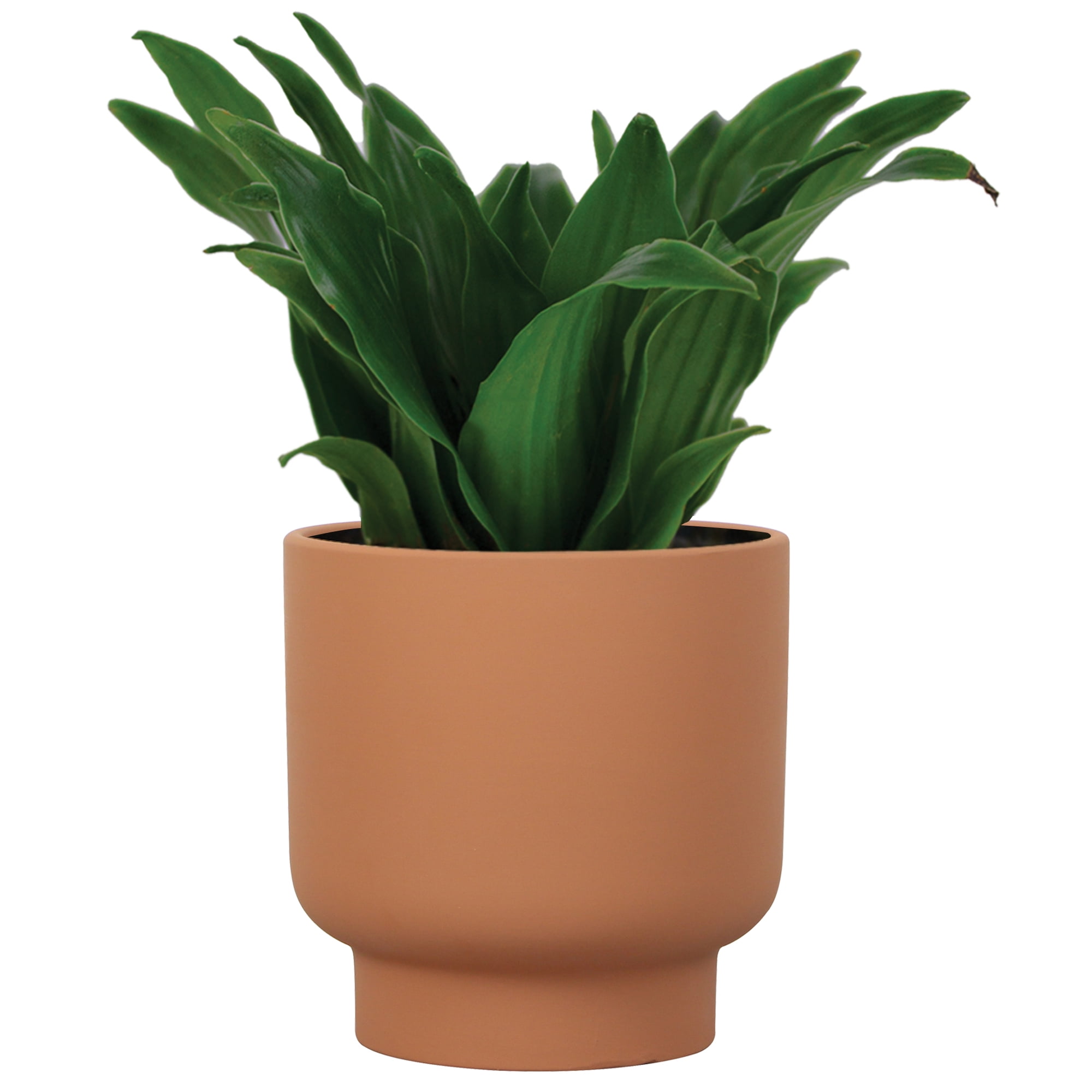 Mainstays Small 6in Diameter Round Terracotta Petra Terra Ceramic Planter