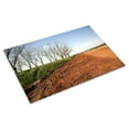 thumbnail image 3 of Print: Rural Alabama In The Spring, 2010, 3 of 4