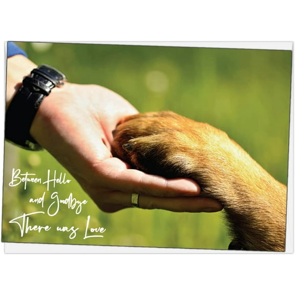 Between Hello and Goodbye There Was Love Pet Bereavement/Sympathy Greeting Card