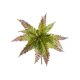 thumbnail image 2 of CaiYueKe Artificial Boston Fern Plants Bushes Fake Shrubs Bush Greenery Plants Faux Fern Plant for Outdoors UV Resistant Garden Plants or Home Office Desk Indoor Decor, 2 of 7