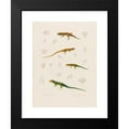 thumbnail image 2 of Arthus Bertrand 18x24 Black Modern Framed Museum Art Print Titled - Stenodactylus Mauritanicus, Lizard Perspicillata, Eremias Pardulis, Lizard Perspicillata (1844-1867), 2 of 5
