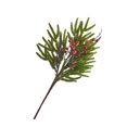 thumbnail image 3 of Feltree Branches de Pin Artificielles de Noël avec Baies Rouges et Cônes pour Décoration de Bureau, Décoration de Vacances et Arrangements Floraux Festifs, 3 of 8
