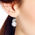 thumbnail image 4 of Vibrant White-Silver Pearl and Zebra Pattern Seashell Circle Dangle Earrings, 4 of 4
