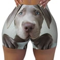 thumbnail image 2 of Fuzoiu Adorable Puppy Portrait Print Women's Workout Shorts,Workout Biker Shorts Women,Exercise Fitness Shorts,Scrunch Short, Athletic Shorts for Gym Yoga Running Sport Active-Large, 2 of 8
