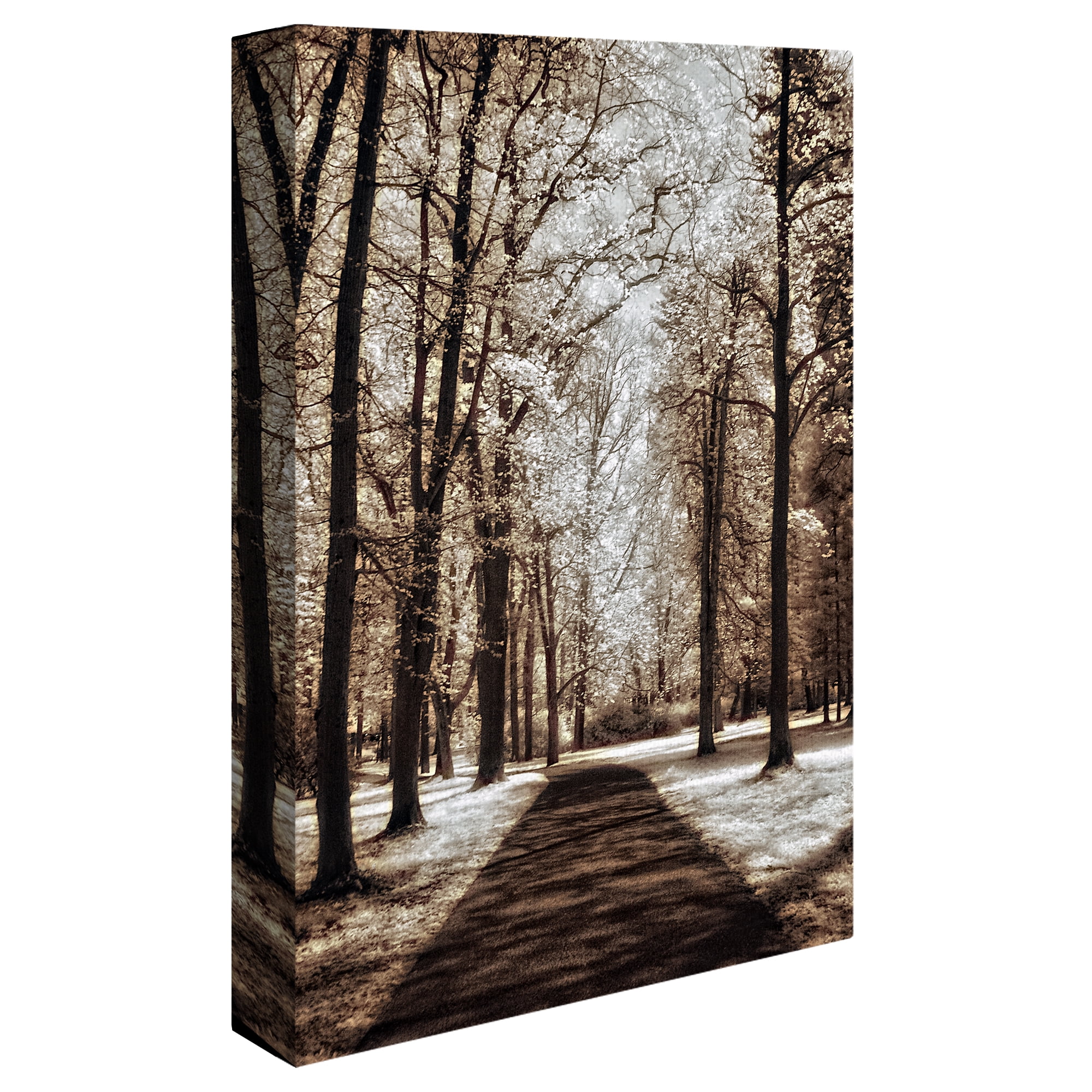 Masterpiece Art Gallery Wooded Forest Journey II by Ilona Wellmann Canvas Photo Art Print 18" x 24"