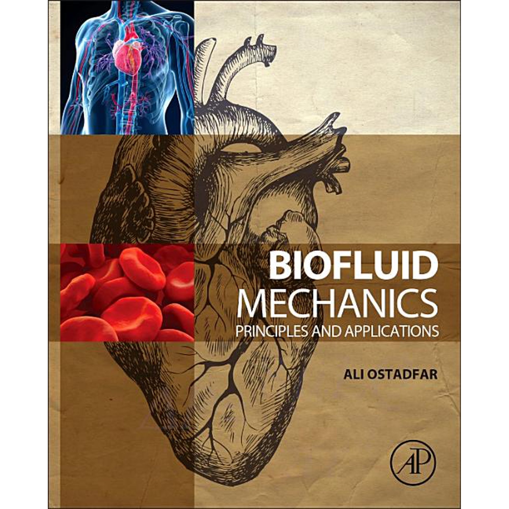 Biofluid Mechanics: Principles and Applications (Paperback)