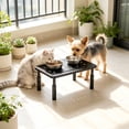 thumbnail image 6 of 3-Level Height-Adjustable Pet Feeder Stand, Elevated Feeding Station for Cats and Small to Medium Dogs, 6 of 6